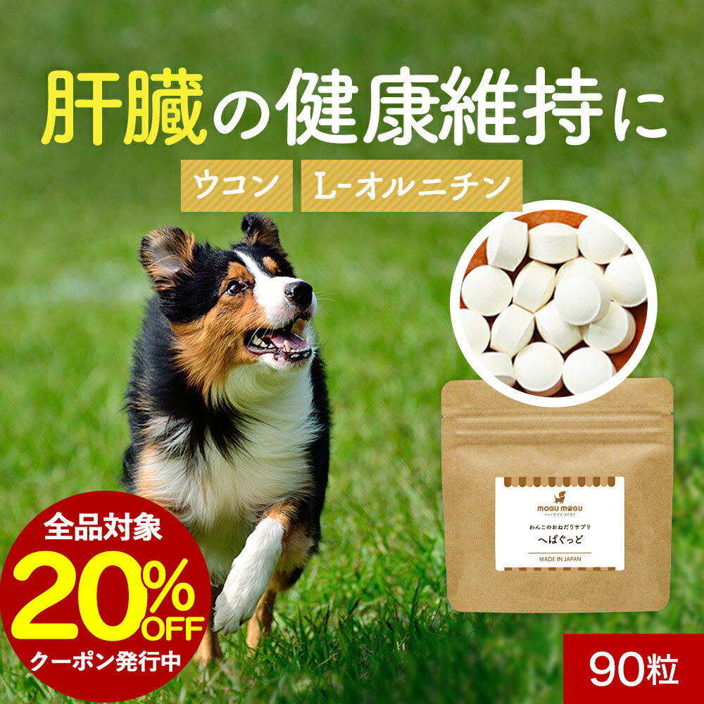 【全品対象20％OFFクーポン！】犬 肝