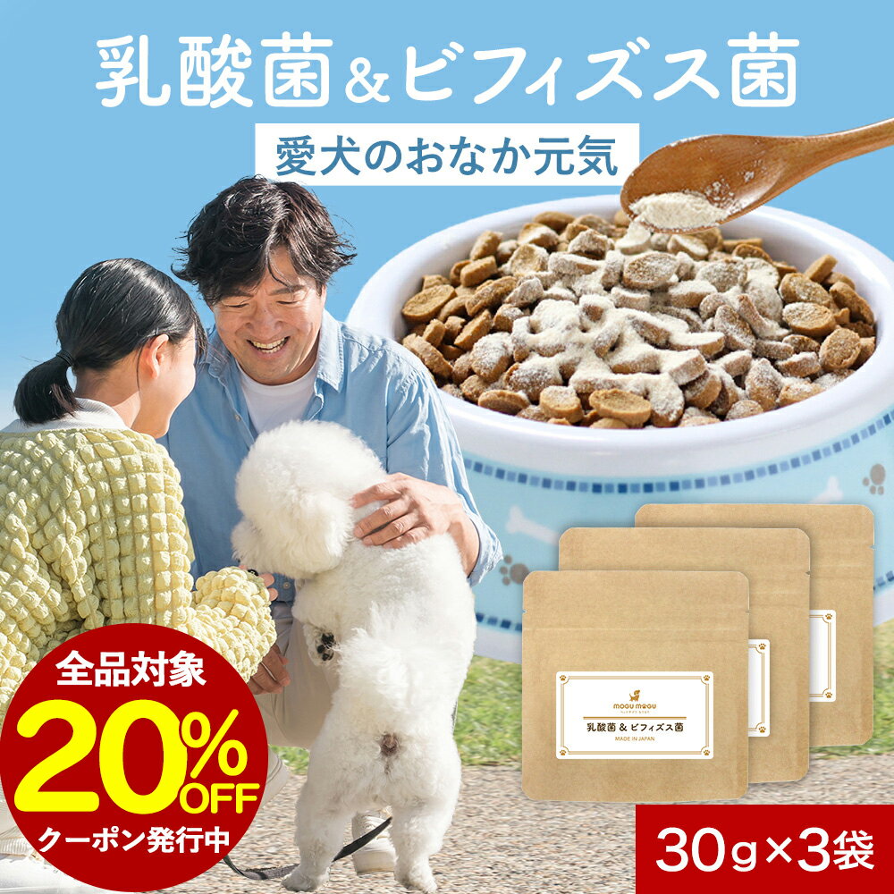 【全品対象20％OFFクーポン】犬 乳酸