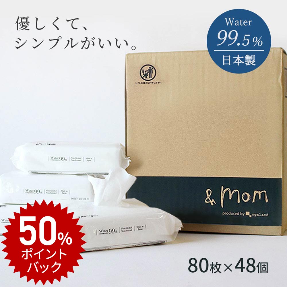 おしりふき ウェットティッシュ ノンアルコール 80枚×48個セット【3840枚】詰め替え 日本製 お尻拭き ケース 不要 シンプル 水99% 肌にやさしい おしゃれ コンパクト 出産祝い ギフト 男の子 女の子 おしり拭き ウエッティ つめかえ (12個×4箱) 送料無料 あす楽のサムネイル
