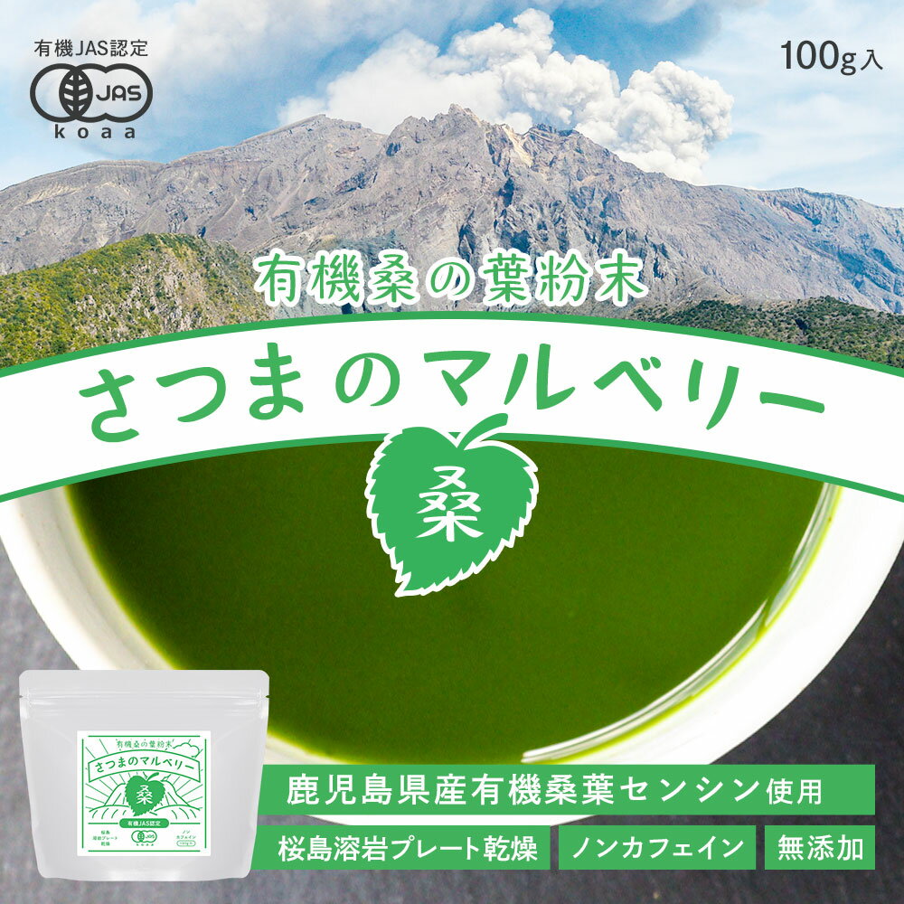 国産 桑の葉 粉末 (100g) 送料無料 桑の葉茶 有機JAS 桑の葉粉末 パウダー 青汁 無添加 鹿児島県産 桑の葉 オーガニック 有機 ダイエット 糖質制限 糖質対策 ノンカフェイン 食物繊維 スムージー 葉酸 アミノ酸 健康 健康茶 野菜不足 残留農薬検査済 放射能検査済