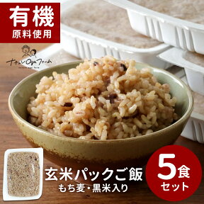 ＼LINE登録で20％OFFクーポン獲得／ 玄米 パック 玄米パック ごはん ご飯パック (160g×5食セット) 玄米 レトルト 玄米 あきたこまち 国産 もち麦 黒米 米 ご飯 有機原料使用 保存食 非常食 通販 レンジ レンチン 食感 健康 美容 送料無料 nkdy