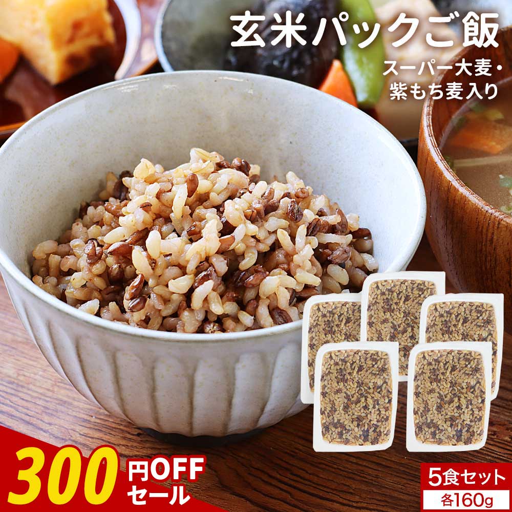 【300円OFFセール】食塩 無添加 玄米 