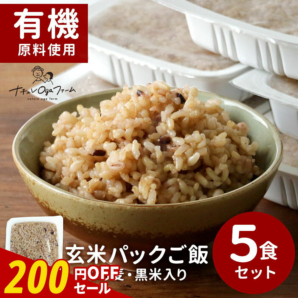 【200円OFFセール】食塩 無添加 玄米 