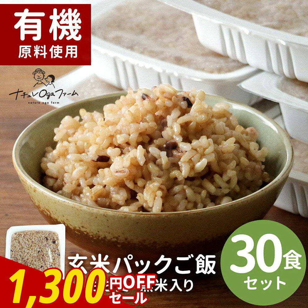 【1300円OFFセール】食塩 無添加 玄米
