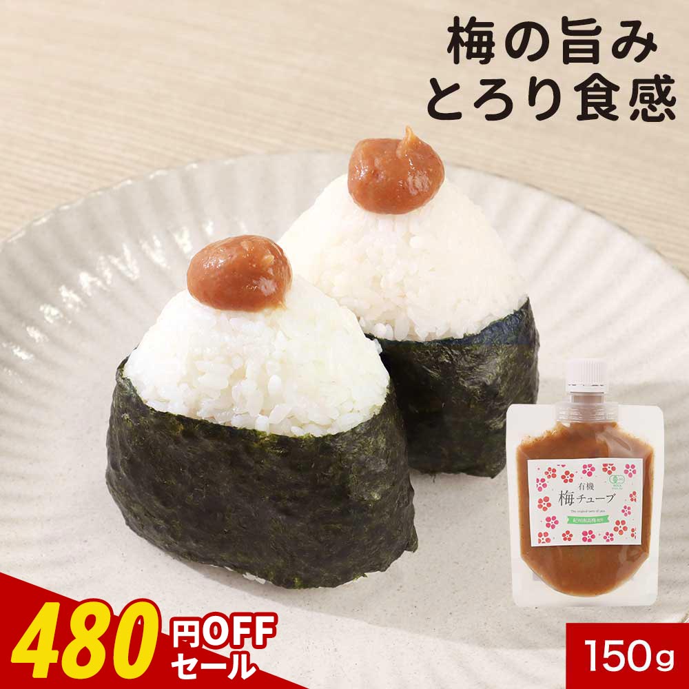 【480円OFF / 1000円ぽっきり】 練り梅 ねり梅 練梅 チューブ 有機 150g 梅干し 塩のみ 塩分20% 塩分補給 熱中症対策 個包装 有機 オーガニック 梅 うめ 紀州南高梅 天日塩 すっぱい 国産 梅流し うめ流し 送料無料 レビュー特典