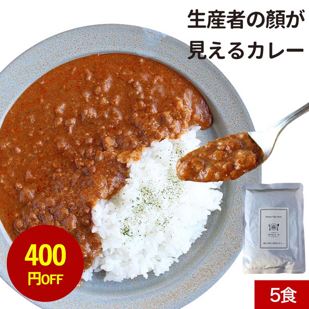 【400円OFFセール】カレー レトルト 