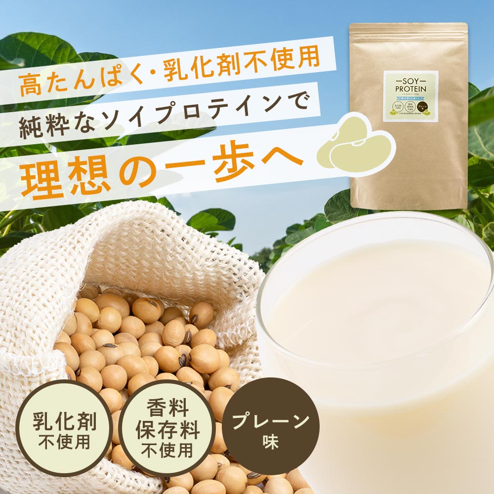 ソイプロテイン 無添加 400g（乳化剤・保存料不使用・植物性）