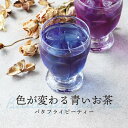 バタフライピー 15包［ブルーハーブティー ティーバッグ ティーパック 粉末 パウダー 青いお茶 色が変わるお茶 インスタ映え Instagram SNS話題 美容 オシャレ お茶 ※粉末 パウダータイプではありません］ レビュー特典