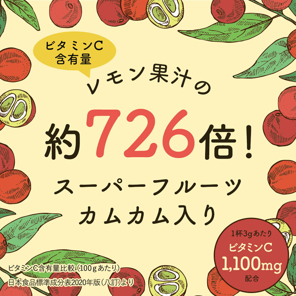 ビタミンCパウダー (100g) ビタミンC 粉末 カムカム果汁 ビタミンB2 デキストリン 香料・人工甘味料不使用 スーパーフルーツ 飲みやすい 美容 健康 朝食 送料無料 4510 TSG