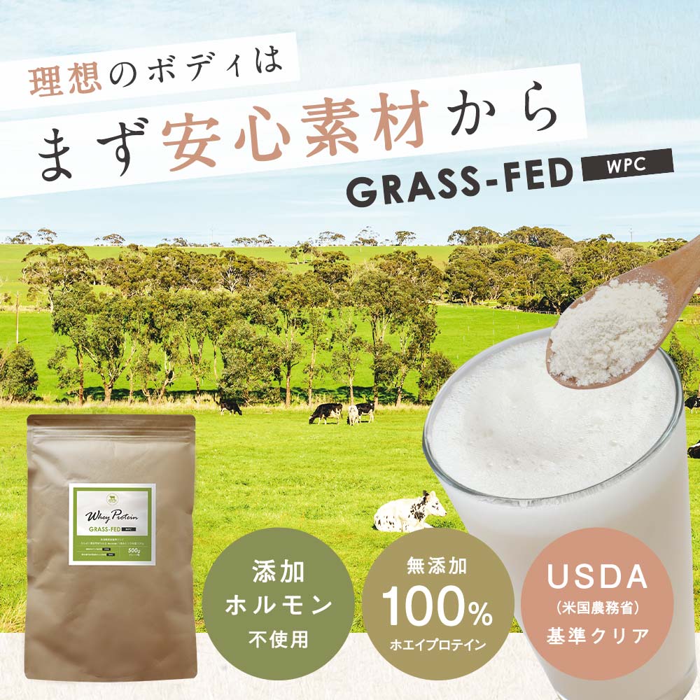 640円OFF プロテイン 無添加 ホエイプロテイン 無糖 甘味料無添加 (500g) お試し 初心者 女性 美容 グラスフェッド プロテイン WPCプロテイン WPC ボディメイク 置き換え ダイエット 女性 プレーン 送料無料 4510 TSG