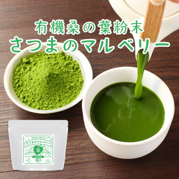 国産 桑の葉 粉末 (100g) 桑の葉茶 オーガニック 桑の葉粉末 パウダー 青汁 有機JAS 無添加 鹿児島県産 有機 ダイエット 糖質 制限 対策 ノンカフェイン 食物繊維 スムージー 葉酸 アミノ酸 健康 茶 野菜不足 すっきり 残留農薬検査・放射能検査済 4510 TSG