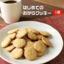 ＼LINE登録で20％OFFクーポン獲得／ はじめてのおからクッキー 500g おからクッキー ダイエット お菓子 おやつ お試し ダイエット食品 置き換え 低糖質 s ダイエットクッキー スイーツ クッキー 送料無料 nkdy msst 1000円 ポッキリ