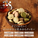 ＼LINE登録で20％OFFクーポン獲得／ おからクッキー 小麦不使用 500g 硬いおからクッキー 小麦粉不使用 砂糖不使用 6つのゼロ 豆乳おからクッキー クッキー ハード ダイエット お菓子 ダイエットクッキー 置き換え 満腹感 硬い 乳 卵 小麦 白砂糖 不使用 2