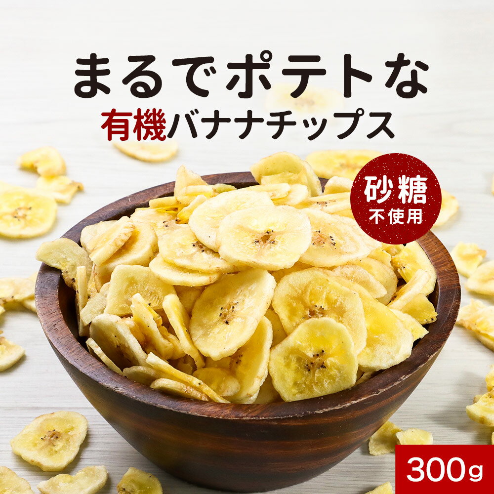 有機バナナチップス 100g【アリサン】