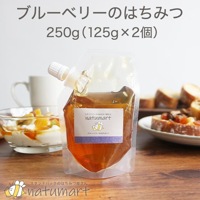 ブルーベリーのはちみつ 250g（125g×2袋）100％純粋 カナダ産 蜂蜜 ハチミツ ハニー ギフト 桜の蜂蜜 セット メール便A TSG