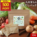 【今だけ500円OFF】野菜だし だしパック 無添加 食塩不使用 子供 野菜 出汁 パック だし 国産 酵母エキス不使用 九州産 ブイヨン 玉ねぎ キャベツ 白...