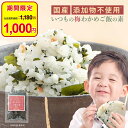 【今だけ1,000円】わかめごはん 梅 無添加 国産 紀州南高梅使用 酵母エキス不使用 50g 梅わかめふりかけ わかめふりかけ 梅ふりかけ わかめご飯の素 添...