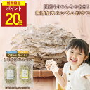 【P20倍セール】【お試し1袋】魚 せんべい カルシウム 国産原料使用 2つの味から選べる 柚子 プレーン ちりめん煎餅 お魚せんべい おやつ 薄焼き カルシウム補給 子供 カルシウム摂取 ちりめんじゃこ 煎餅 健康おやつ ちりめんのみ お試しサイズ 保存料無添加