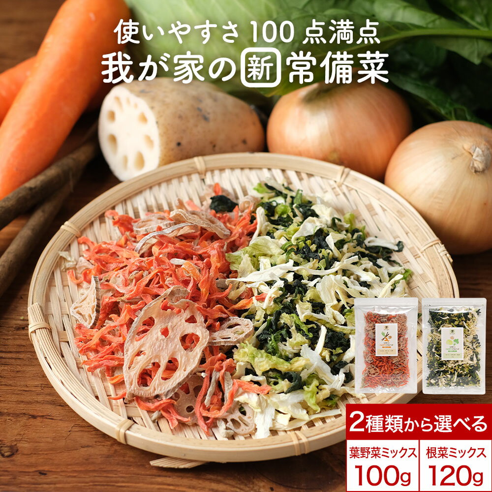 乾燥野菜 国産 葉野菜ミックス 九州産 葉野菜100g 根菜120g 簡単 栄養 残留農薬検査済み キャベツ ほう..