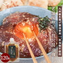 醤油麹 無添加 国産 老舗味噌屋製造 2袋セットも選べる(120g×2袋) 醤油 九州 醤油こうじ しょうゆ麹 しょうゆ糀 ギフト 砂糖不使用 生揚醤油 無添加...