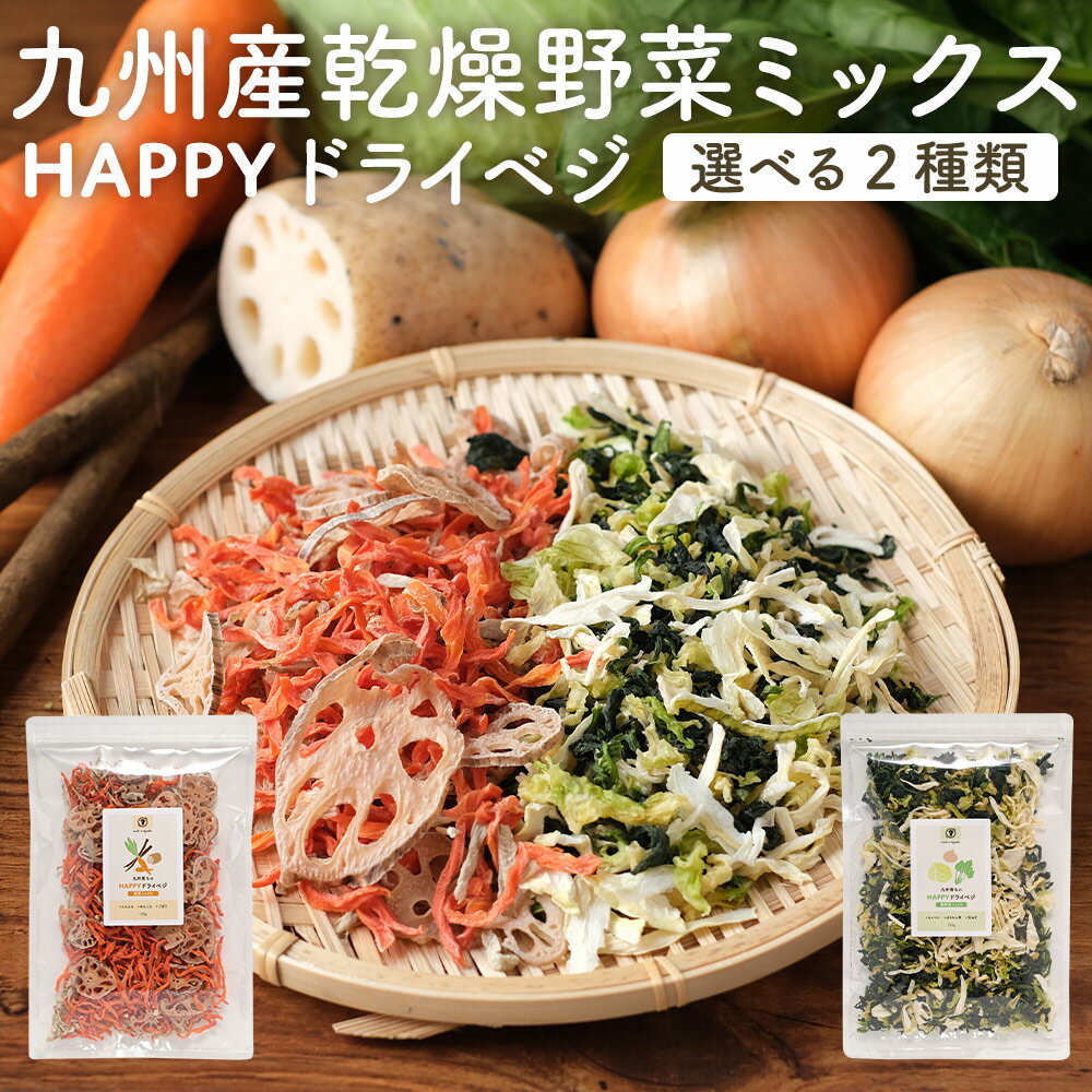 訳あり 在庫処分 乾燥野菜 国産 葉野菜ミックス 九州産 葉野菜100g 根菜120g 簡単 栄養 残留農薬検査済み キャベツ ほうれん草 玉ねぎ ごぼう 人参 れんこん 保存食 非常食 栄養 アウトドア キャンプ 下ごしらえ不要 送料無料 食品ロス フードロスのサムネイル