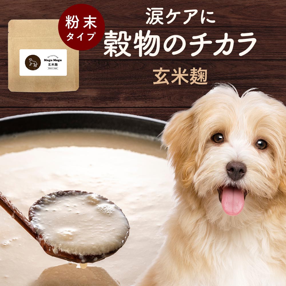 訳あり 在庫処分 犬 乳酸菌 サプリ 30g やけ に 涙 が気になる 愛 犬 粉末 玄米麹 サプリメント 犬用 ドッグ フード お試し 愛犬 サプリメント 食いつき◎ 涙 目 や に サプリ け あ ペット用サプリ ペットサプリ ペット用品 コラーゲン 送料無料 食品ロス フードロスのサムネイル