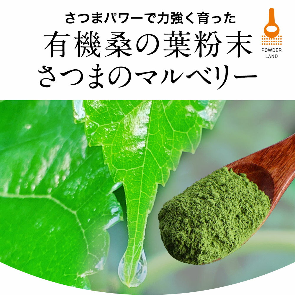 ＼まとめ買いで1,000円OFF／ 桑茶 オーガニック 国産 無添加 桑の葉 粉末 (100g) 桑の葉茶 有機 JAS 桑の葉粉末 パウダー 青汁 鹿児島県 桑の葉 ダイエット ノンカフェイン 食物繊維 人気 おすすめ スムージー 葉酸 健康 茶 すっきり 残留農薬検査済 放射能検査済 送料無料