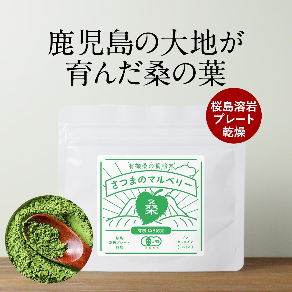 ＼まとめ買いで1,000円OFF／ 桑茶 オーガニック 国産 無添加 桑の葉 粉末 (100g) 桑の葉茶 有機 JAS 桑の葉粉末 パウダー 青汁 鹿児島県 桑の葉 ダイエット ノンカフェイン 食物繊維 人気 おすすめ スムージー 葉酸 健康 茶 すっきり 残留農薬検査済 放射能検査済 送料無料