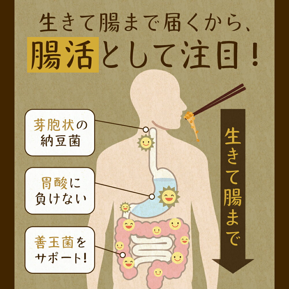 納豆粉末85gパウダー納豆菌送料無料国産福岡県産丸大豆使用なっとうフリーズドライ製法無添加離乳食大豆生活習慣菌活健康栄養ダイエット簡単発酵食ナットウキナーゼタンパク質