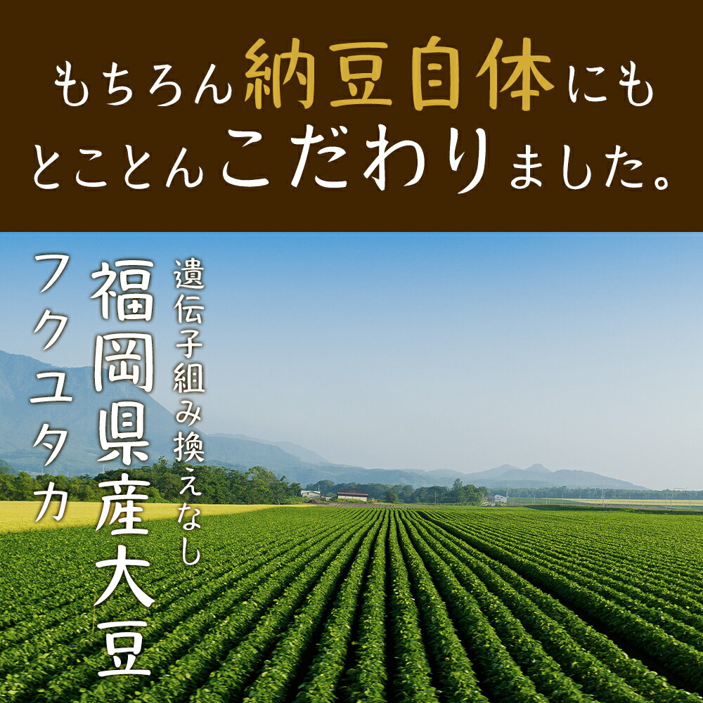 納豆粉末85gパウダー納豆菌送料無料国産福岡県産丸大豆使用なっとうフリーズドライ製法無添加離乳食大豆生活習慣菌活健康栄養ダイエット簡単発酵食ナットウキナーゼタンパク質