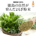 ＼LINE登録で20％OFFクーポン／ よもぎ パウダー ヨモギ 粉末 無添加 国産 (100g) よもぎ茶 ヨモギ茶 青汁 乾燥 健康茶 粉茶 よもぎ餅 クロロフィル ノンカフェイン 栄養 美容 ダイエット 徳島県産 食物繊維 殺菌済み 送料無料