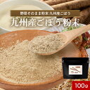 【300円OFFセール】 九州産 ごぼう粉末 パウダー 100g 国産 野菜そのまま粉末 野菜パウダー お野菜 野菜粉末 おやさい 食物繊維 鉄分 カリウム 葉...