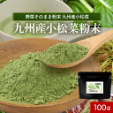 【300円OFFセール】 九州産 小松菜 粉末 パウダー 100g 国産 野菜そのまま粉末 野菜パウダー お野菜 野菜粉末 おやさい 鉄分 カルシウム カリウム...