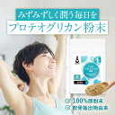 プロテオグリカン 粉末 パウダー 6g イカ由来 コラーゲン ヒアルロン酸 エイジングケア 美容ケア コンドロイチン グルコサミン プロテオグリカンE 潤い うるおい 保湿 美容 保水 送料無料 サプリ サプリの原料 レビュー特典 nkdy
