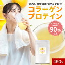 プロテイン コラーゲンプロテイン レモン味 450g 乳製品不使用 低分子コラーゲン たんぱく質90%以上 ダイエット BCAA 食物繊維 ビタミン 葉酸 パントテン酸 ナイアシン バリン ロイシン イソロイシン 送料無料