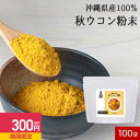 【300円OFFセール】 ウコン 粉末 パウダー 国産 100g ウコン粉末 ウコンパウダー 秋ウコン ターメリック ターメリックパウダー 香辛料 無着色 無添...