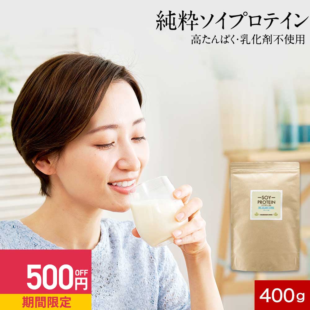 【29%OFFセール】ソイプロテイン 乳化剤 無添加 大豆 植物性 プロテイン 400g 人気 おすすめ 初心者 お試し 女性 美容 高たんぱく タンパク質 アミノ酸スコア100 ボディメイク ダイエット 大豆プロテイン 送料無料