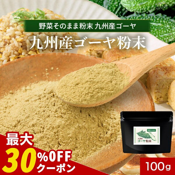 ݥǺ30OFF彣  ʴ ѥ 100g  䡼 ڤΤޤʴ ڥѥ  ʴ ...