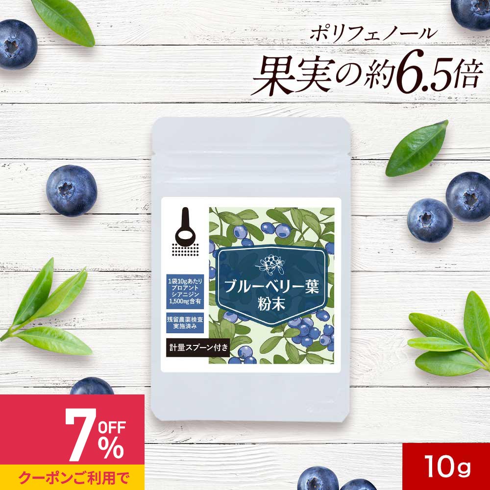 ץθѥɡ㤨֡ڥݥǺ39%OFFۥ֥롼٥꡼ ʴ ѥ 10g ݥեΡ ֥롼٥꡼ ܺ긩 ̵ ORAC   ƥ ȥ˥ ¸Ի ˭ ˤ35 ­ ץ ץθ ӥ塼ŵ nkdyפβǤʤ1,780ߤˤʤޤ