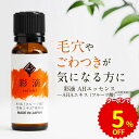 【クーポンご利用で5％OFF】AHA 美容原液 20ml 毛穴ケア 毛穴 汚れ 洗浄 肌を整える 肌を滑らかに フルーツ酸 フルーツエキス 美容液 ..