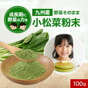 野菜 九州産 小松菜 粉末 パウダー 100g 国産 野菜そのまま粉末 野菜パウダー お野菜 野菜粉末 おやさい 鉄分 カルシウム カリウム 食物繊維 ベータカロチン ビタミンC ビタミンE 葉酸 下処理不要 保存食 美容 ダイエット レビュー特典