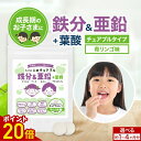 【ポイント20倍】子供 こども サプリ 鉄分 & 亜鉛 + 葉酸 青りんご味 30粒 / 120粒 約1~4か月分 鉄分不足 鉄 チュアブル キッズ サプリメント 偏食 小食 野菜嫌い 栄養補給 栄養補助 成長 美味しい オーガランド 1000円ポッキリ 送料無料 nkdy