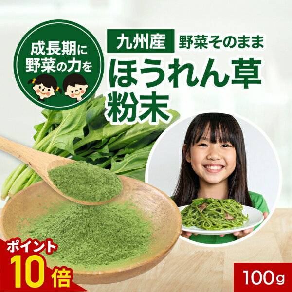 【ポイント10倍】子供 野菜 九州産 ほうれん草 粉末 パウダー 100g 野菜そのまま粉末 野菜パウダー お..