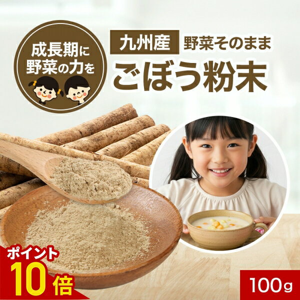 【ポイント10倍】子供 野菜 九州産 ごぼう粉末 パウダー 100g 国産 野菜そのまま粉末 野菜パウダー お..