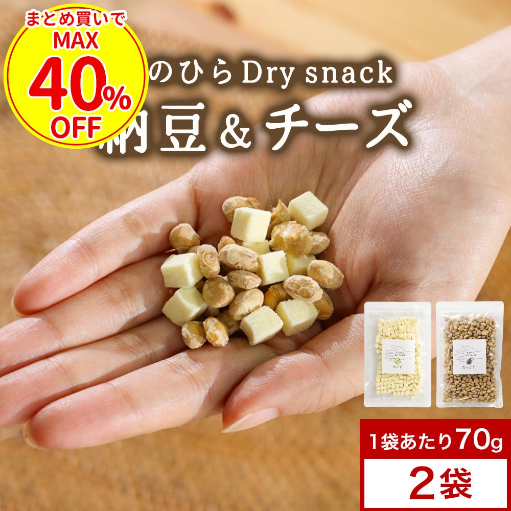 【まとめ買いで最大40％OFF】タンパク質 おやつ ドライチーズ 納豆 (70g×2袋) フリーズドライ チーズ おつまみ 乾燥チーズ ドライ 納豆 人気 おすすめ 国産 大豆 ノンフライ ドライスナック 選べる ダイエット 栄養 カルシウム たんぱく質 食物繊維 健康おやつ 子供