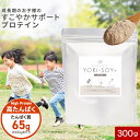 ジュニア プロテイン (300g) 植物性 たんぱく質 ソイ プロテイン 30食分 ココア味 プロテイン 子供 成長 子ども キッズ カルシウム 動物性 大豆タ...