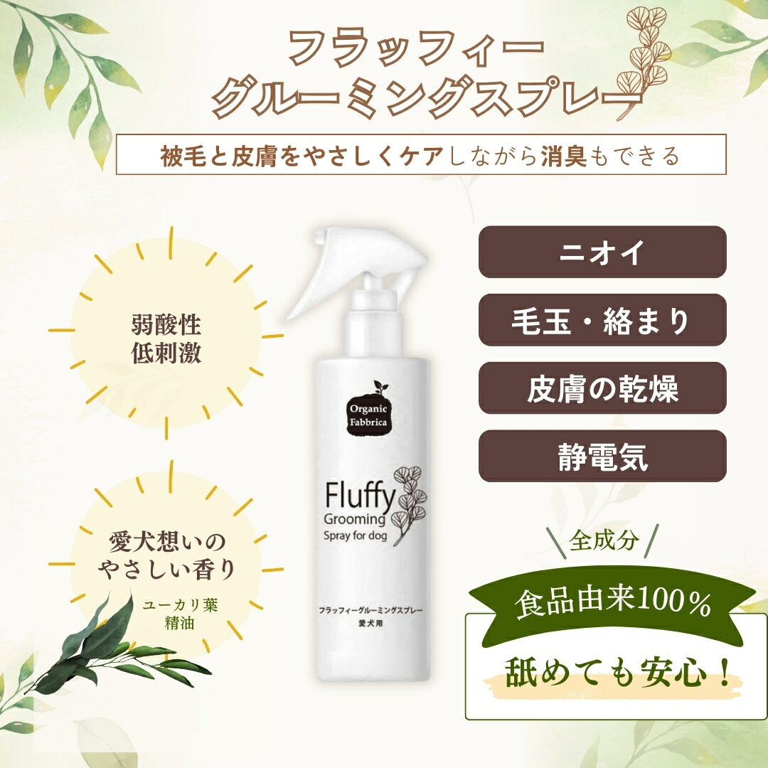 �ڥ�ӥ塼��Ƥǥץ쥼���!!�ۡڸ����� ���ե� £��ʪ �ץ쥼��� �ۥڥå� �ڥå��� �� �ץ����ե� £��ʪ �ץ쥼��� �࿦ ���� ���� ��ˤ� ���֤� ���ե� ���ղ� ���� ����Ū���ե� �ե�åե� ���롼�ߥ� ���ץ졼 ���ե� ����̵��