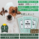 【月間優良ショップ受賞】犬 シャンプー 犬用シャンプー 無添加 ペットシャンプー オーガニック フケ 皮脂 かゆみ お手入れ ペット 洗う 低刺激 子犬 シニア犬 消臭 脱臭 ロッティ 10mL3包 セット お試し ゆうパケット 送料無料