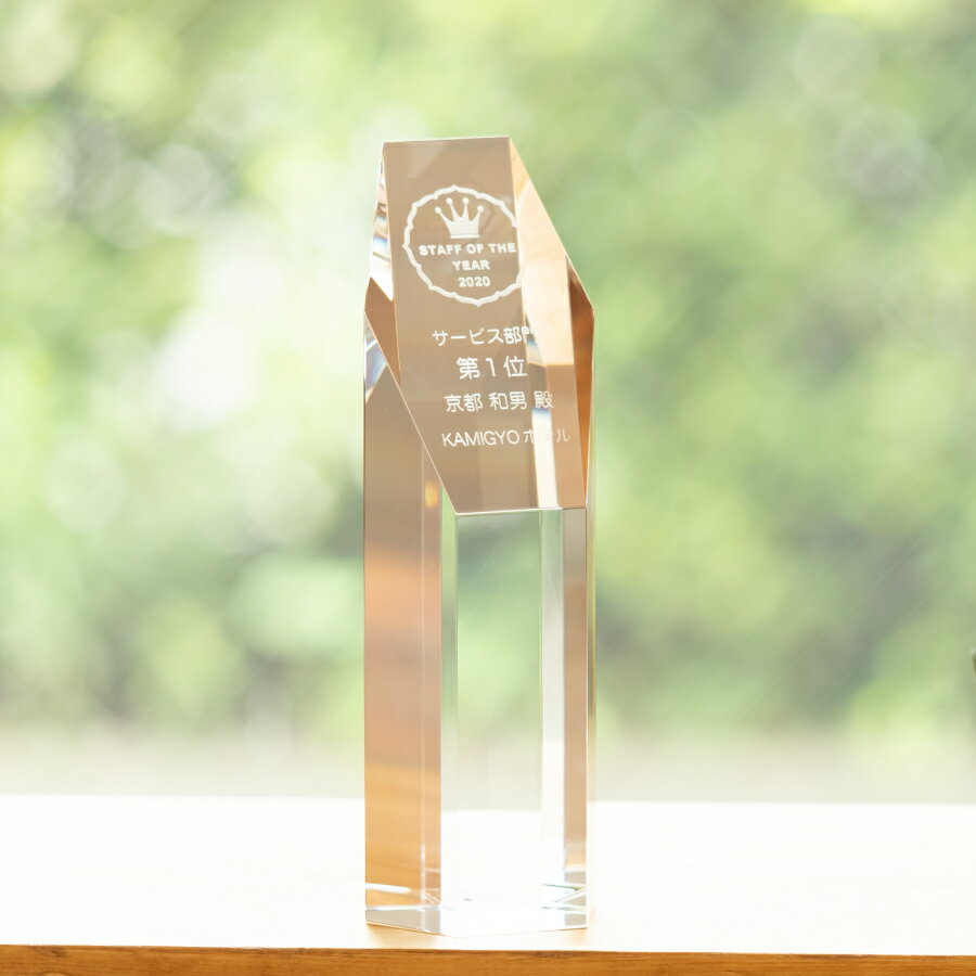 【ロゴOK】【名入れギフトにおすすめ!】トロフィー クリスタル シンプル ガラス 名入れ ハートミー heart me レベル50 tiktok 記念品 叙勲記...