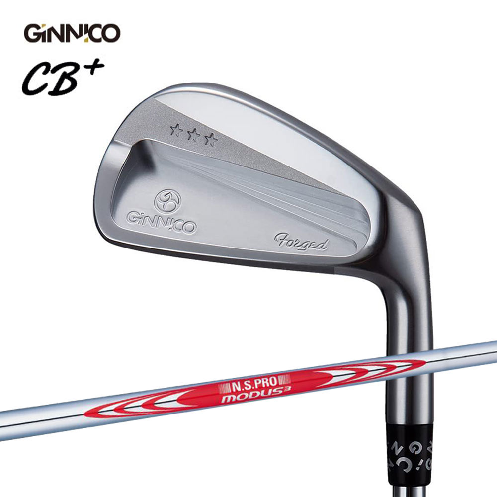 イオンスポーツ GINNICO CB+ アイアンセット #6-#PW 5本 N.S.PRO MODUS3 TOUR 120 装着モデル 右利き メーカー組み立て